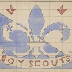Girl Guides & Boy Scouts
